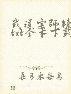 武道宗师精校版txt全本下载