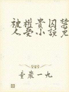 被权贵囚禁的美人受小说免费阅读下