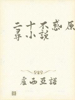二十不惑原著周寻小说