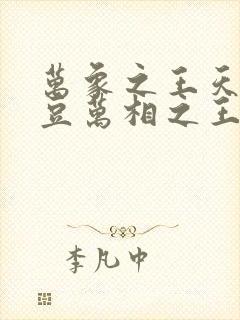 万象之王天蚕土豆万相之王