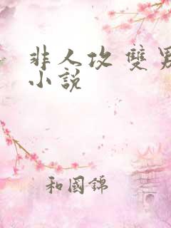 非人攻 双男主小说