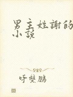 男主姓谢的现代小说