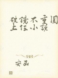 破镜不重圆男二上位小说