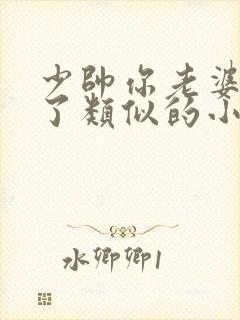 少帅你老婆又跑了类似的小说