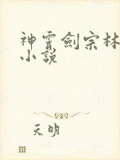 神霄剑宗林枫的小说