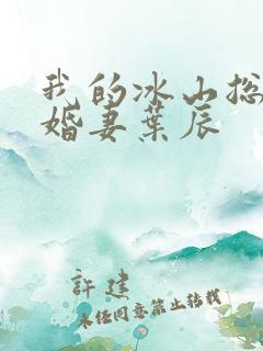 我的冰山总裁未婚妻叶辰