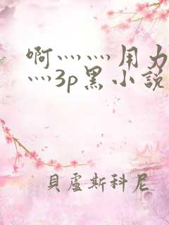 啊灬灬用力灬嗯灬3p黑小说
