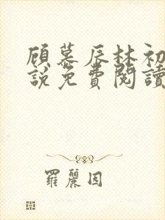 顾慕辰林初荔小说免费阅读最新章节