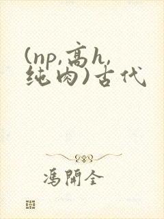 (np,高h,纯肉)古代