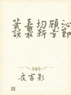 萧长均顾沁儿小说最新章节免费阅读