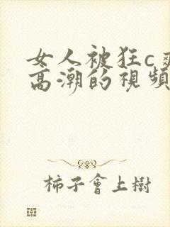 女人被狂c爽到高潮的视频