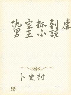 仇家抓到虐身双男主小说