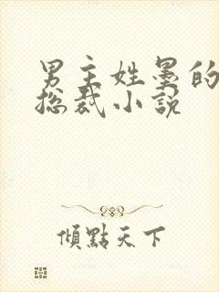 男主姓墨的霸道总裁小说