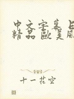 中文字幕 日韩精品 欧美风情