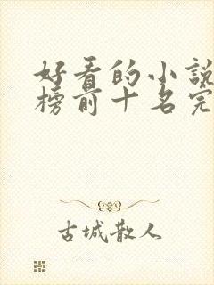 好看的小说排行榜前十名完结