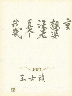 我真没想重生啊几个老婆