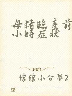 母猪临产前6个小时症状