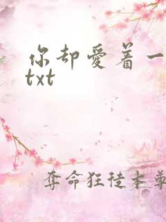 你却爱着一个傻txt