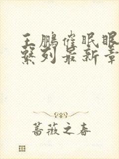 王鹏催眠眼镜之系列最新章节