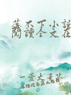 落不下小说免费阅读全文在线阅笔趣无弹窗