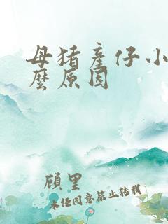 母猪产仔小是什么原因