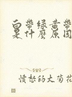 白带绿黄带腥臭是什么原因