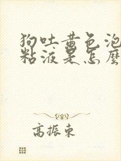 狗吐黄色泡沫状粘液是怎么回事