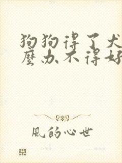 狗狗得了犬瘟怎么办不得好