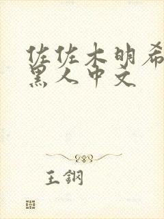 佐佐木明希vs黑人中文