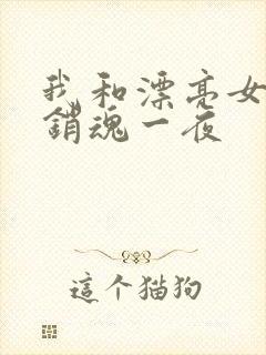 我和漂亮女邻居销魂一夜