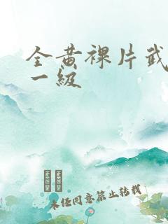 全黄裸片武则天一级