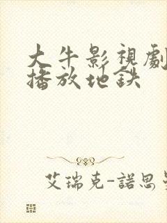 大牛影视剧免费播放地铁