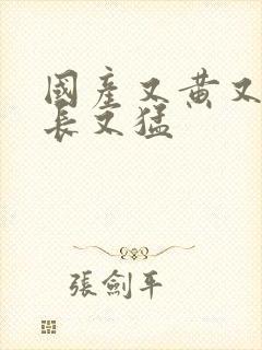 国产又黄又粗又长又猛