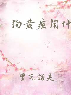 狗黄疸用什么药