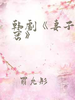 韩剧《妻子的秘密》