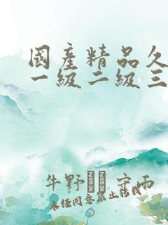 国产精品久久久一级二级三级