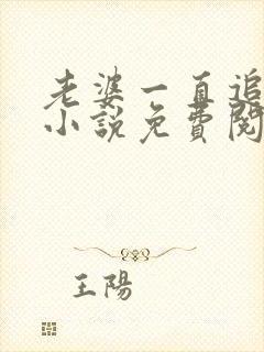 老婆一直追杀我小说免费阅读