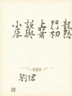 小说上门龙婿叶辰与萧初然