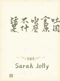 猪不吃食吐黄水是什么原因