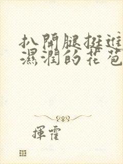 扒开腿挺进小舞湿润的花苞