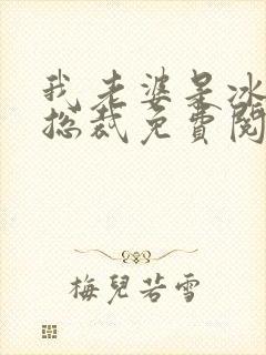 我老婆是冰山女总裁免费阅读最新