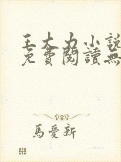 王大力小说小说免费阅读无弹窗