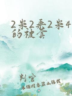 2米2乘2米4的被套