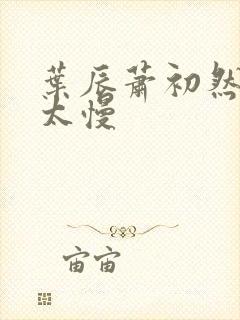 叶辰萧初然更新太慢