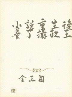 小说重生后我娇养了摄政王小说