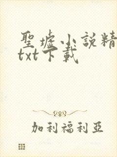 圣墟小说精校版txt下载