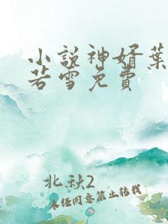 小说神婿叶凡唐若雪免费