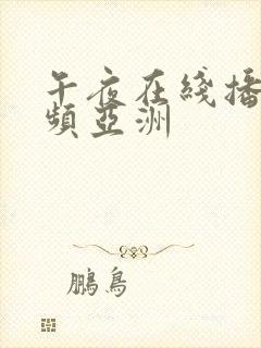 午夜在线播放视频亚洲