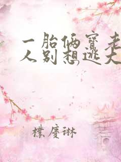 一胎俩宝老婆大人别想逃大结局