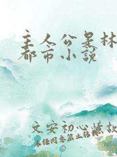 主人公是林峰的都市小说